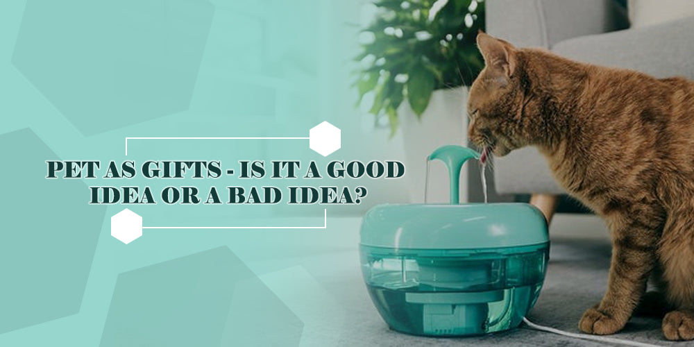 Is It Okay To Give A Pet As A Present?